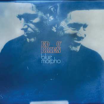 CD O'brien,ed: Blue Morpho