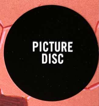 LP Ocean Grove: Up In The Air Forever LTD | PIC | CLR