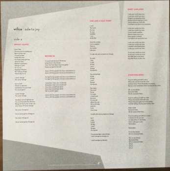 LP Wilco: Ode To Joy LTD | CLR