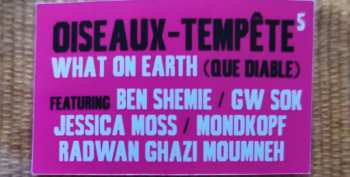 CD Oiseaux-Tempête: What On Earth (Que Diable)