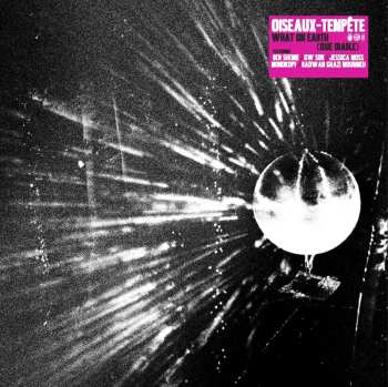 CD Oiseaux-Tempête: What On Earth (Que Diable)