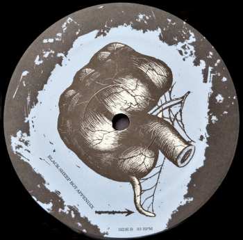 3LP Okkervil River: Black Sheep Boy DLX