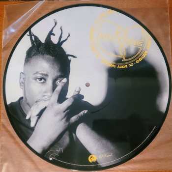 2LP Ol' Dirty Bastard: Return to the 36 Chambers: The Dirty Version LTD | PIC