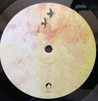 LP Ólafur Arnalds: And They Have Escaped The Weight Of Darkness