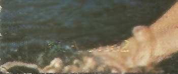 SP Olivia Newton-John: Physical