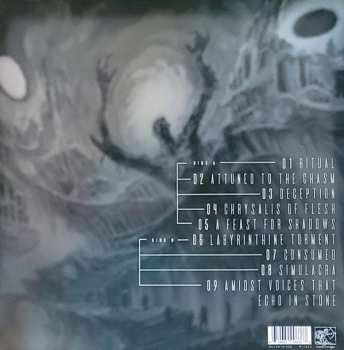 LP Ominous Ruin: Amidst Voices That Echo In Stone LTD | CLR
