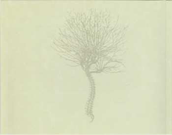 CD On The Last Day: Meaning In The Static