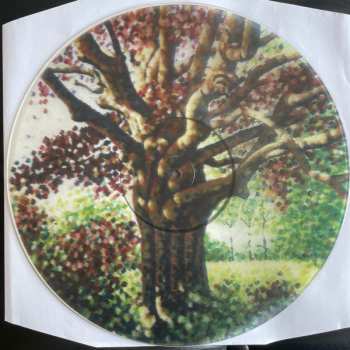 LP One Step Closer: Songs For The Willow CLR