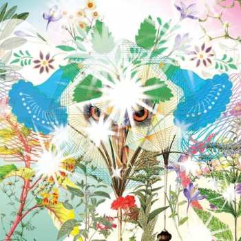 Album OOIOO: Gamel