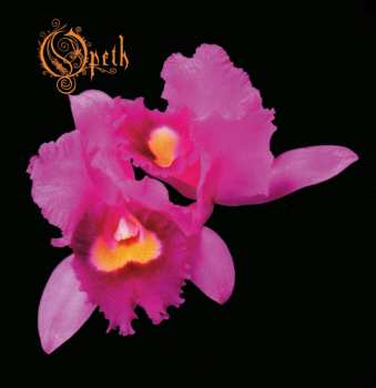 Album Opeth: Orchid