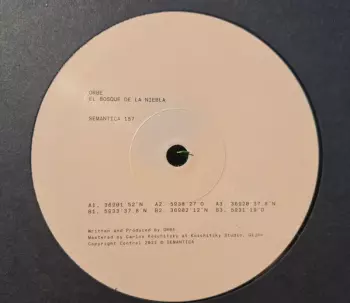 El Bosque De La Niebla