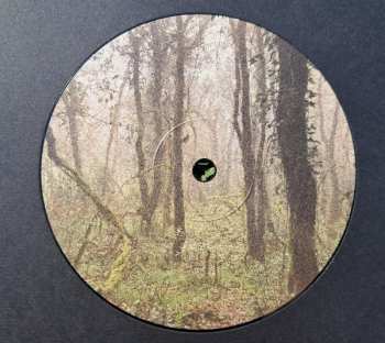 LP Orbe: El Bosque De La Niebla