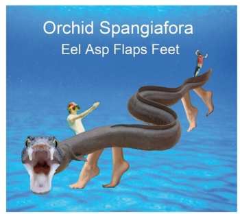 Album Orchid Spangiafora: Eel Asp Flaps Feet