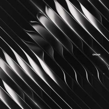 Album Dimension: Organ