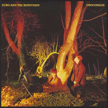 5CD/Dobozkészlet Echo & The Bunnymen: Original Album Series