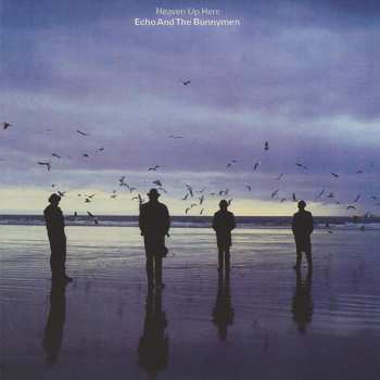 5CD/Dobozkészlet Echo & The Bunnymen: Original Album Series