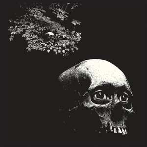 Album Thee Oh Sees: A Foul Form