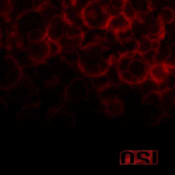 Album OSI: Blood