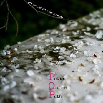 Album Ottmar Liebert And Luna Negra: Petals On The Path