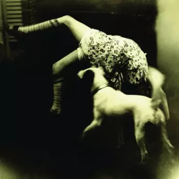 Over The Rhine: Good Dog Bad Dog: The Home Recordings