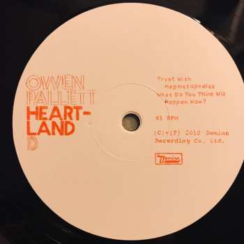 2LP Owen Pallett: Heartland