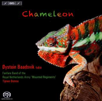Album Øystein Baadsvik: Chameleon