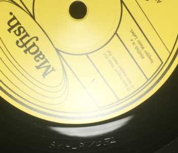 2LP Ozric Tentacles: At The Pongmasters Ball