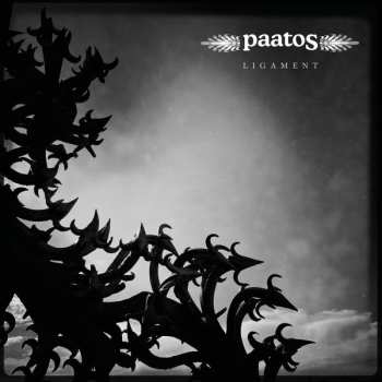 Album Paatos: Ligament
