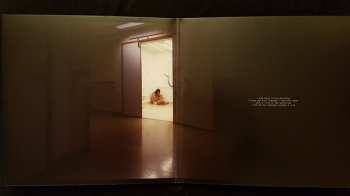 2LP/CD Pain Of Salvation: In The Passing Light Of Day