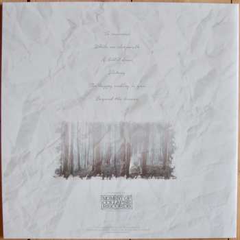 2LP Paint The Sky Red: Not All Who Wonder Are Lost LTD | CLR