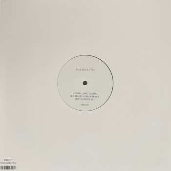 LP Pale Blue Eyes: How Long Is Now LTD