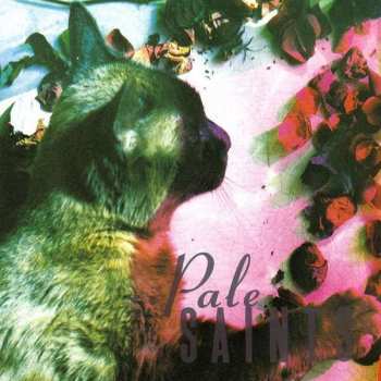 Album Pale Saints: The Comforts Of Madness