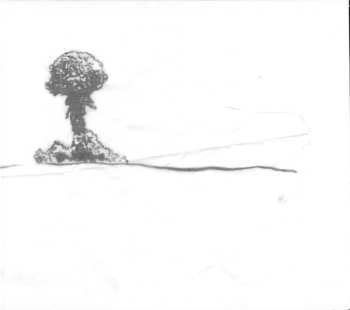 CD Panda Bear: Tomboy