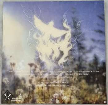2LP/CD Panopticon: ...And Again Into The Light CLR