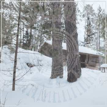 Album Panopticon: The Scars Of Man On The Once Nameless Wilderness Part 1