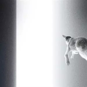 Panoram: Keep Looking Where The Light Comes From
