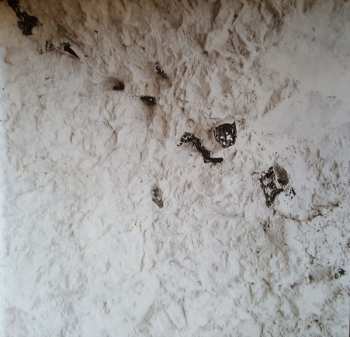 2LP Pantha Du Prince: The Triad