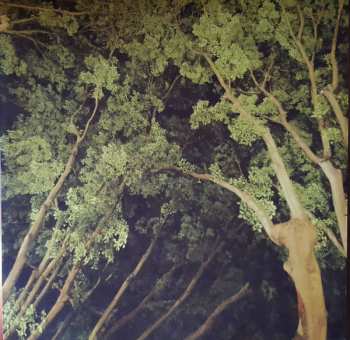 2LP Pantha Du Prince: The Triad