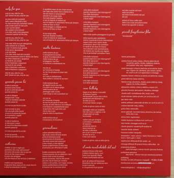 2LP Paolo Benvegnù: Piccoli Fragilissimi Film LTD