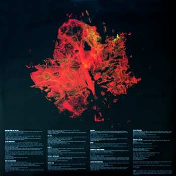 2LP Paolo Nutini: Caustic Love
