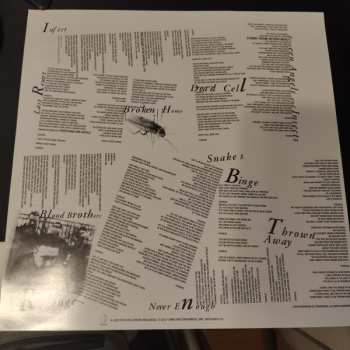 LP Papa Roach: Infest