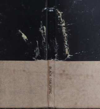 2LP Paradise Lost: Symphony For The Lost LTD | PIC