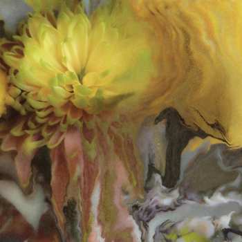 LP Parker Millsap: Wilderness Within You CLR