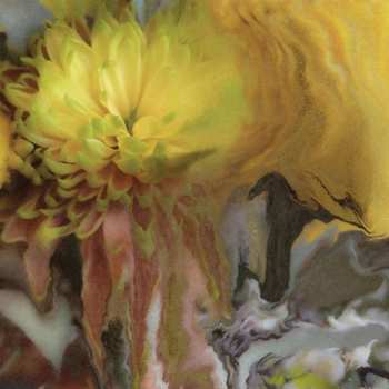 LP Parker Millsap: Wilderness Within You