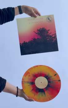 LP Passenger: All The Little Lights (Anniversary Edition)