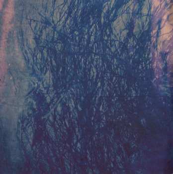 CD Patrick Watson: Wave