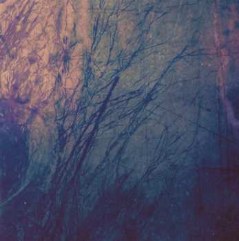 CD Patrick Watson: Wave