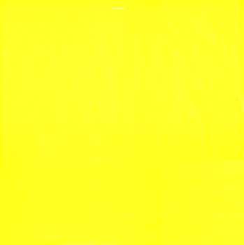 LP Paul McCartney: Flowers In The Dirt