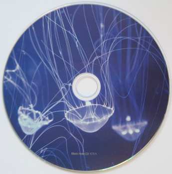 2CD Pavel Khvaleyev: Sonder