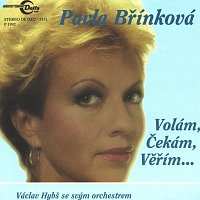 Album Pavla Břínková: Volám, čekám, Věřím